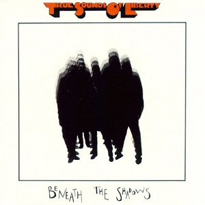 <i>Beneath the Shadows</i> 1983 studio album by T.S.O.L.