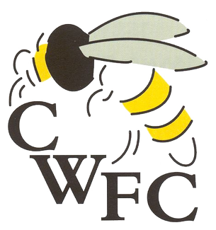 <span class="mw-page-title-main">Chalfont Wasps F.C.</span> Association football club in England