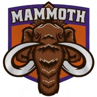 <span class="mw-page-title-main">Elmira Mammoth</span> Ice hockey team in Elmira, New York