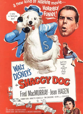 <i>The Shaggy Dog</i> (1959 film) American film directed by Charles Barton