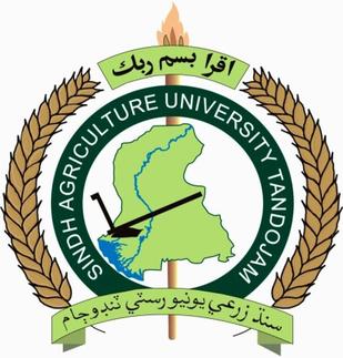 <span class="mw-page-title-main">Sindh Agriculture University</span> University in Tando Jam, Pakistan