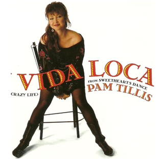 Mi Vida Loca (My Crazy Life) 1994 single by Pam Tillis