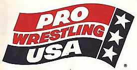 <span class="mw-page-title-main">Pro Wrestling USA</span> American professional wrestling promotion