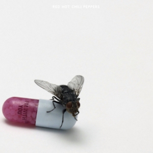 <i>Im with You</i> (album) 2011 studio album by Red Hot Chili Peppers