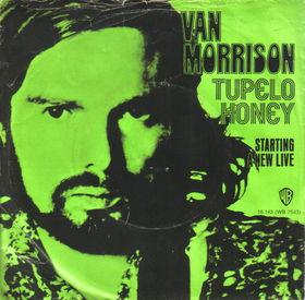 <span class="mw-page-title-main">Tupelo Honey (song)</span> 1972 single by Van Morrison