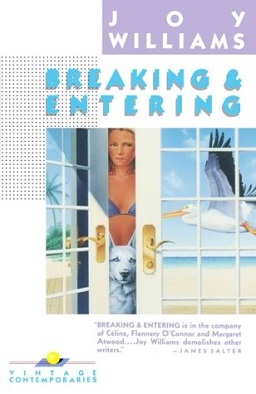 <i>Breaking and Entering</i> (Williams novel) 1988 novel by American writer Joy Williams