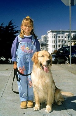 <span class="mw-page-title-main">Michelle Tanner</span> Fictional character from Full House