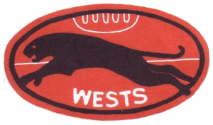 <span class="mw-page-title-main">Wests Panthers</span> Australian rugby league club