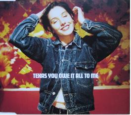 <span class="mw-page-title-main">You Owe It All to Me</span> 1993 single by Texas