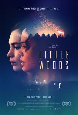 <i>Little Woods</i> 2018 film