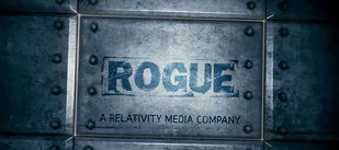 <span class="mw-page-title-main">Rogue Pictures</span> American film production company