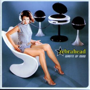 <i>Waste of Mind</i> 1998 studio album by Zebrahead