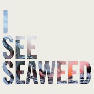 <i>I See Seaweed</i> 2013 studio album by The Drones