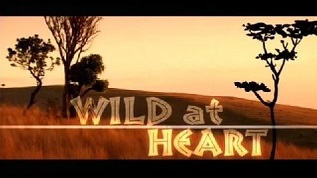 <i>Wild at Heart</i> (British TV series) British TV series or programme