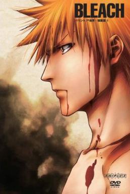 <i>Bleach</i> season 5 Season of television series