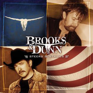 <i>Steers & Stripes</i> 2001 studio album by Brooks & Dunn