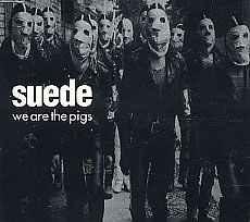 <span class="mw-page-title-main">We Are the Pigs</span> 1994 single by Suede