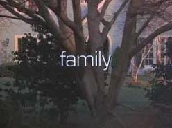 <i>Family</i> (1976 TV series) American television series