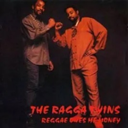 <i>Reggae Owes Me Money</i> 1991 studio album by The Ragga Twins