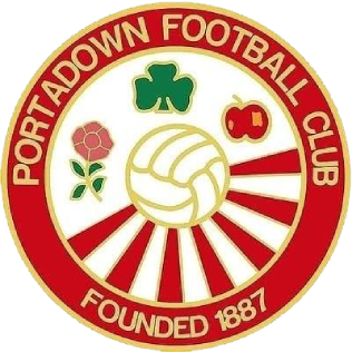 <span class="mw-page-title-main">Portadown F.C.</span> Association football club in Northern Ireland