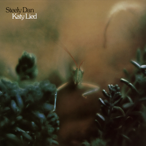 <i>Katy Lied</i> 1975 studio album by Steely Dan