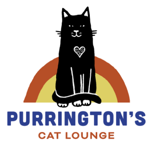 <span class="mw-page-title-main">Purrington's Cat Lounge</span> Cat cafe in Portland, Oregon, U.S.