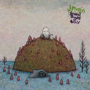 <i>Several Shades of Why</i> 2011 studio album by J Mascis