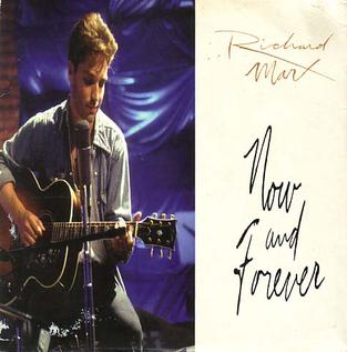 <span class="mw-page-title-main">Now and Forever (Richard Marx song)</span> 1994 single by Richard Marx