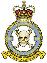 <span class="mw-page-title-main">No. 100 Squadron RAF</span> Defunct flying squadron of the Royal Air Force