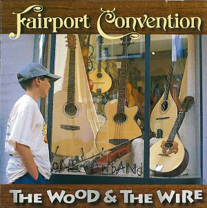 <i>The Wood and the Wire</i> 1999 studio album by Fairport Convention