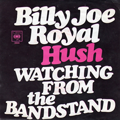 <span class="mw-page-title-main">Hush (Billy Joe Royal song)</span> 1967 single by Billy Joe Royal