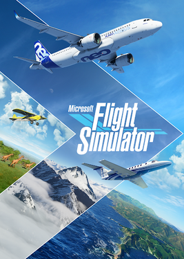 <i>Microsoft Flight Simulator</i> (2020 video game) 2020 amateur flight simulator