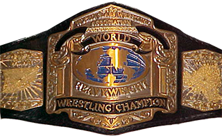 <span class="mw-page-title-main">WCWA World Heavyweight Championship</span> Professional wrestling championship