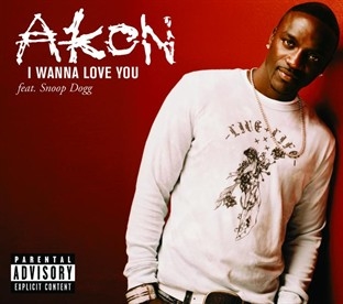 <span class="mw-page-title-main">I Wanna Love You (Akon song)</span> 2006 single by Akon