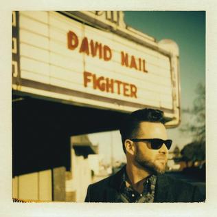 <i>Fighter</i> (David Nail album) 2016 studio album by David Nail