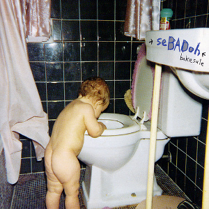 <i>Bakesale</i> 1994 studio album by Sebadoh