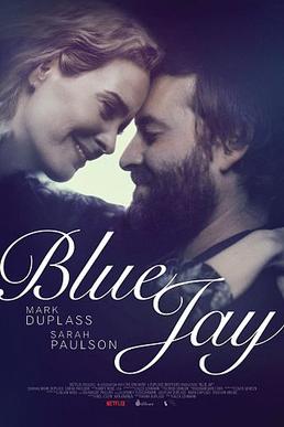 <i>Blue Jay</i> (film) 2016 American film