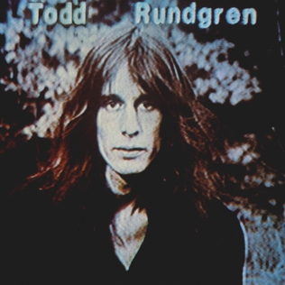 <i>Hermit of Mink Hollow</i> 1978 studio album by Todd Rundgren