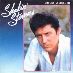 <span class="mw-page-title-main">Cry Just a Little Bit</span> 1983 single by Shakin Stevens