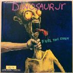 <span class="mw-page-title-main">Feel the Pain</span> 1994 single by Dinosaur Jr.