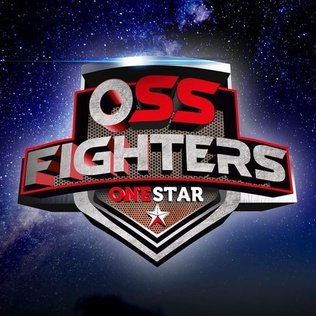 <span class="mw-page-title-main">OSS Fighters</span> Romanian kickboxing promotion