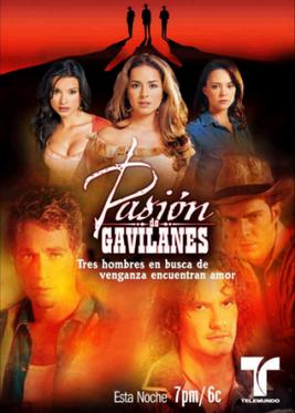 <i>Pasión de Gavilanes</i> Television series