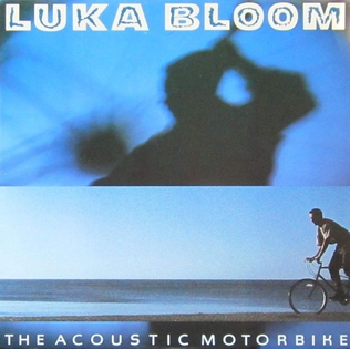 <i>The Acoustic Motorbike</i> 1992 studio album by Luka Bloom