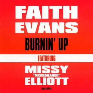 <span class="mw-page-title-main">Burnin' Up (Faith Evans song)</span> 2002 single by Faith Evans