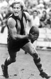 <span class="mw-page-title-main">Peter Crimmins</span> Australian rules footballer (1948–1976)