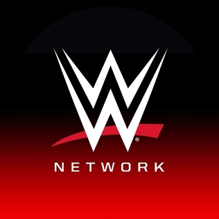 <span class="mw-page-title-main">WWE Network</span> WWE produced subscription network