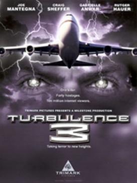 <i>Turbulence 3: Heavy Metal</i> 2001 film by Jorge Montesi