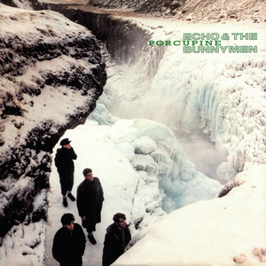 <i>Porcupine</i> (album) 1983 studio album by Echo & the Bunnymen