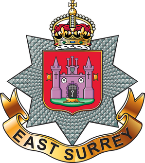 <span class="mw-page-title-main">East Surrey Regiment</span> Military unit