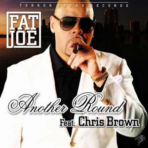 <span class="mw-page-title-main">Another Round (Fat Joe song)</span> 2011 single by Fat Joe featuring Chris Brown